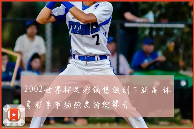 2002世界杯足彩销售额创下新高 体育彩票市场热度持续攀升